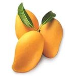 Alphonsa Mango      