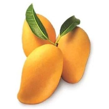 Alphonsa Mango