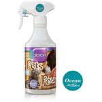 Bioion Pets Pounce Pets Sanitizer Ocean 500ml