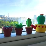 Sentosphere Patarev Blister Mini Cactus