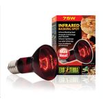 Exo Terra Infrared Basking Spot R20 75w