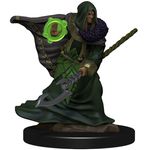 Wizkids Elf Druid Male (Premium)