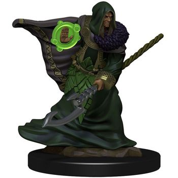 Wizkids Elf Druid Male (Premium)
