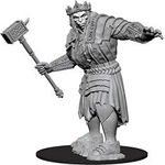 WizKids D&D Nolzurs Marvelous Unpainted Miniatures Wave 7 Fire Giant