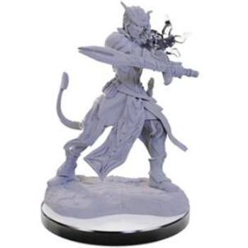 Wizkids Dungeons & Dragons Nolzur’s Marvelous Miniatures: Tiefling Warlocks