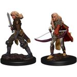 Wizkids Human Female Fighter