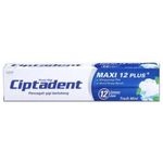 Ciptadent Toothpaste Paste Maxi Freshmint 120g