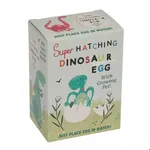 Rex London Hatch Your Own Dinosaur Egg