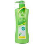 Ginvera Green Tea Pomelo Ginseng Shampoo Orange Dry 750g