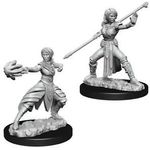Wizkids Half-elf Monk Female (Wave 10)