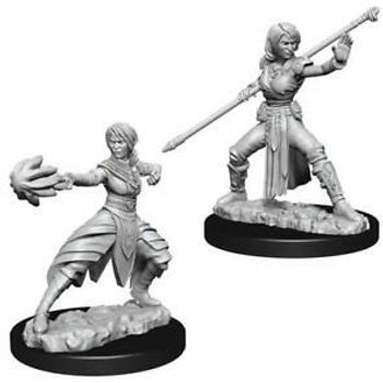 Wizkids Half-elf Monk Female (Wave 10)