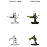 Wizkids Dungeons & Dragons Nolzur’s Marvelous Miniatures: Elf Druid Female