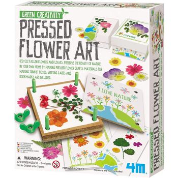 4M Green Creativity Pressed Flower Art