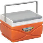 Pinnacle Prudence Cooler Box 11l