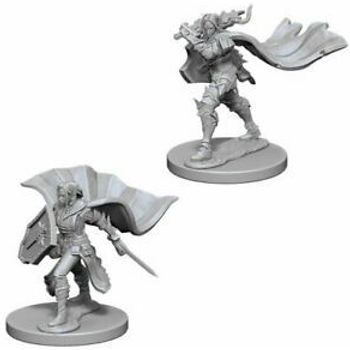 Wizkids Elf Paladin Female (Wave 4)