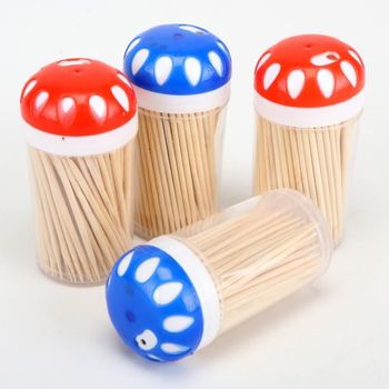 Wooden Toothpicks 100pcs