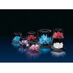 4M Crystal Growing Experiment Kit