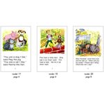 Fitzroy Readers Fitzroy Readers 11-20 (10 Titles)