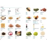 Collins Visual Dictionary Japanese