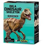 4M Dig A Dinosaur Skeleton: Velociraptor