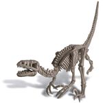 4M Dig A Dinosaur Skeleton: Velociraptor