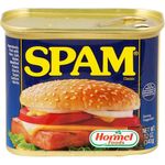 SPAM Luncheon Meat Pork 340g