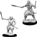 Wizkids Dungeons & Dragons Nolzur’s Marvelous Miniatures: Bandits