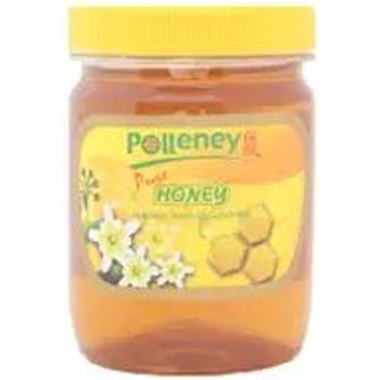 Polleney Pure Honey 454g