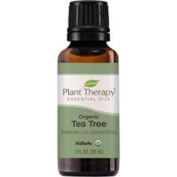 Plant Therapy Organic Tea Tree Oil Essential Oil 30ml