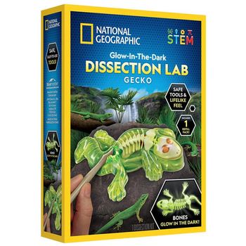 National Geographic Gecko Dissection Lab