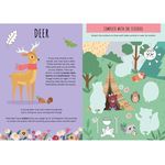 Sassi Stickers And Activities The Forest