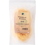 Green Earth Organic Antler Mushroom 50g