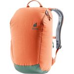 Deuter Modern Chestnut Ivy 16l