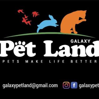 Galaxy Pet Land Metia Residence, G-01, Persiaran Sukan Seksyen 13, Shah Alam 40100, Malaysia