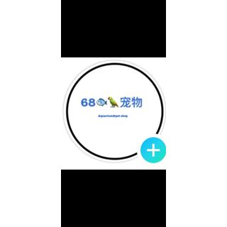 Sixty Eight Undersea Paradise 13A Jalan 9, Selayang Baru, Batu Caves, Batu Caves 68100 , Malaysia